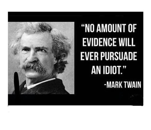 Mark twain quote - mark,